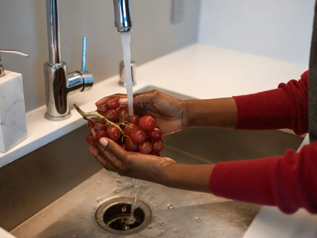 garbage disposal replacement