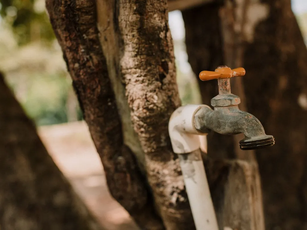 professional sewer line service Sun City